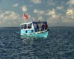Tauchdhoni Malediven Ari Atoll