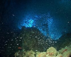 Blue Hole im Baa Atoll