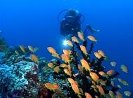 Reethi Beach - Baa Atoll - Malediven - Dive the World  2003